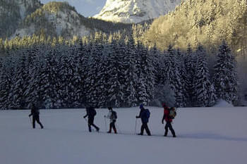 Schneeschuh Kitzbüheler Alpen Bild 6
